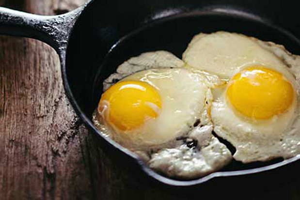 egg-825×413