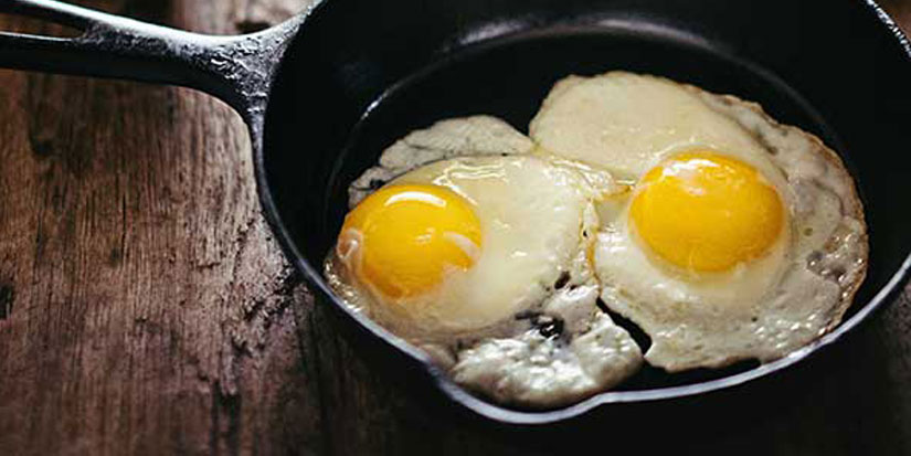 egg-825×413